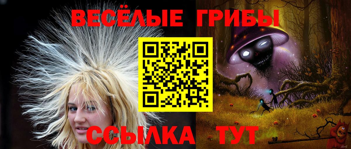 Галлюциногенные грибы Psilocybine cubensis Майский