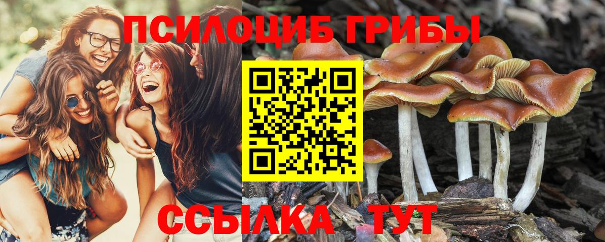 Псилоцибиновые грибы MAGIC MUSHROOMS  закладки  Майский  Вход с VPN 